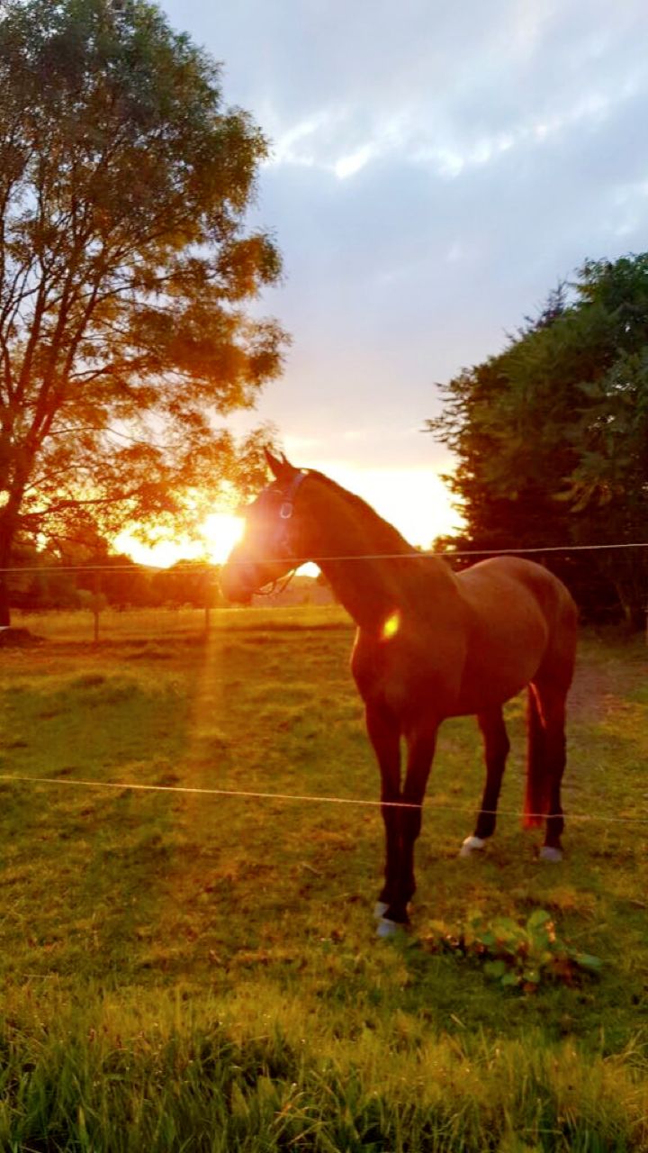 Warum schöne Bilder allein keine gute Website machen